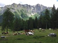 049 Wanderung zum Lago delle Malghette