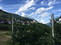 053 ARCADIA Fest in Caldes