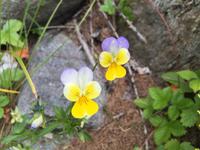 077 Wanderung im Rabbi-Tal