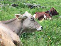 084 Wanderung zu den Saent-Wasserfällen