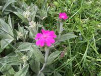 114 Wanderung zu den Saent-Wasserfällen