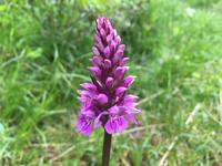 118 Wanderung zu den Saent-Wasserfällen