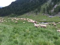 129 Wanderung zu den Saent-Wasserfällen