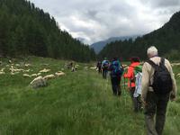 130 Wanderung zu den Saent-Wasserfällen