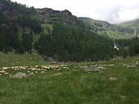 133 Wanderung zu den Saent-Wasserfällen