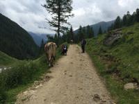 139 Wanderung zu den Saent-Wasserfällen
