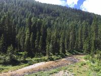 151 Wanderung zu den Vallesinella-Wasserfällen