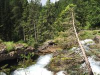155 Wanderung zu den Vallesinella-Wasserfällen