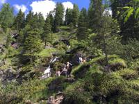 160 Wanderung zu den Vallesinella-Wasserfällen