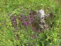 166 Wanderung zu den Vallesinella-Wasserfällen