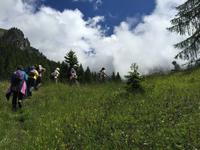 167 Wanderung zu den Vallesinella-Wasserfällen
