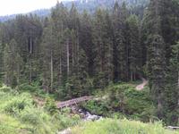 176 Wanderung zu den Vallesinella-Wasserfällen