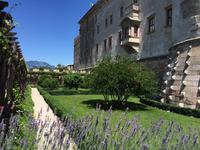 207 Castell del Buonconsiglio in Trient