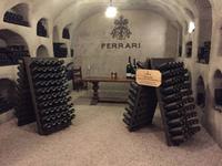 217 Ferrari-Sektkellerei Trient