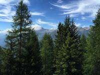 231 Wanderung im Val di Peio