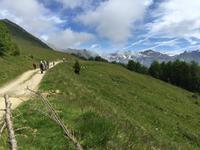 232 Wanderung im Val di Peio