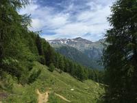236 Wanderung im Val di Peio