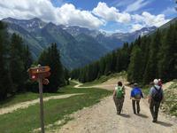 244 Wanderung im Val di Peio - Covelsee