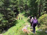 247 Wanderung im Val di Peio - Covelsee