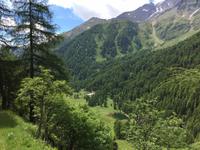 250 Wanderung im Val di Peio - Covelsee