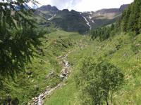 258 Wanderung im Val di Peio - Covelsee