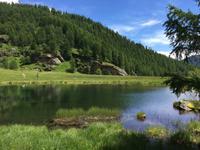 260 Wanderung im Val di Peio - Covelsee