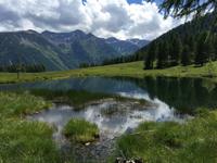 263 Wanderung im Val di Peio - Covelsee