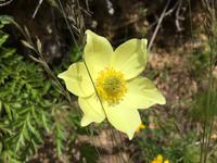 269 Wanderung im Val di Peio - Covelsee