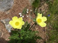 270 Wanderung im Val di Peio - Covelsee