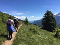 302 Wanderung im Vermiglio-Tal auf den Spuren des 1. Weltkrieges