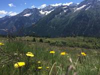 303 Wanderung im Vermiglio-Tal auf den Spuren des 1. Weltkrieges