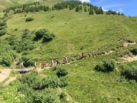 305 Wanderung im Vermiglio-Tal auf den Spuren des 1. Weltkrieges