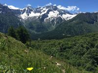 306 Wanderung im Vermiglio-Tal auf den Spuren des 1. Weltkrieges