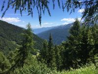 312 Wanderung im Vermiglio-Tal auf den Spuren des 1. Weltkrieges
