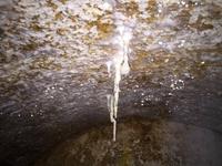 316 Wanderung auf den Spuren des 1. Weltkrieges - Werk Zacarana