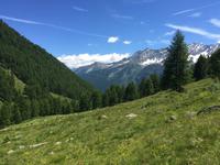 322 Wanderung im Strino-Tal