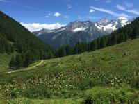 323 Wanderung im Strino-Tal