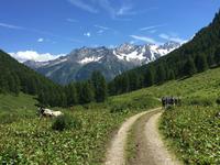 327 Wanderung im Strino-Tal