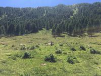 329 Wanderung im Strino-Tal