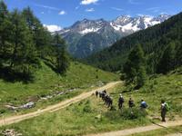 330 Wanderung im Strino-Tal