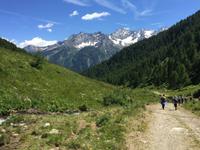 331 Wanderung im Strino-Tal