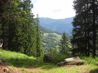 Blick in das Val di Peio auf der Wanderung zum Pian Palu See