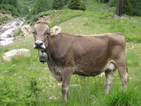 ... Begrüßung am Wegesrand