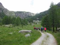 ... noch ist der Weg gemütlich