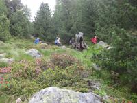 ... ein erster Aufstieg 