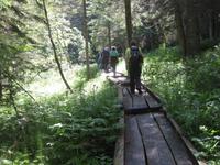 Auf dem Weg zum Lago Dei Caprioli