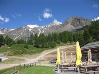 ... und noch ein Blick hinauf