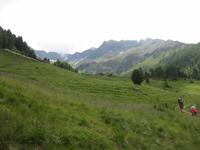 Wanderung über Almenwiesen