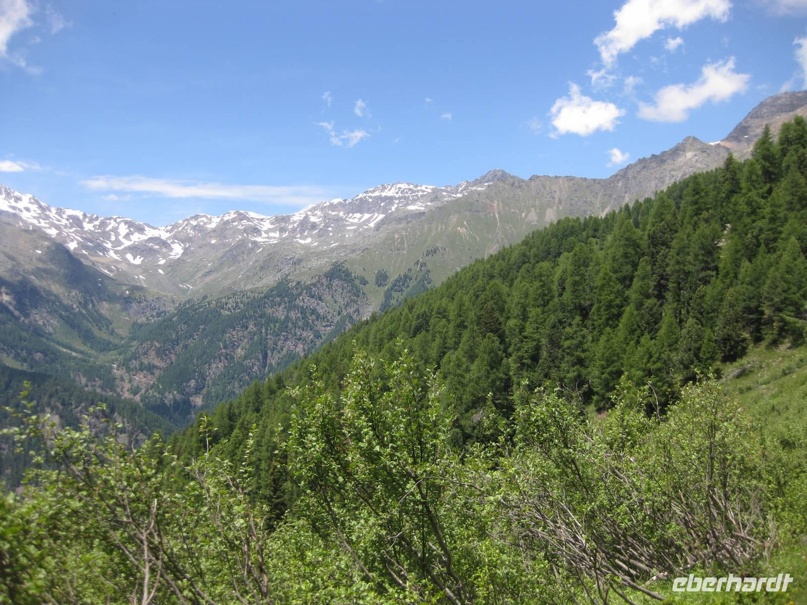 5 Almen Wanderung - Ausblick in Richtung Cevedale-Gruppe 