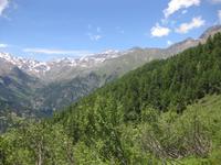 5 Almen Wanderung - Ausblick in Richtung Cevedale-Gruppe 